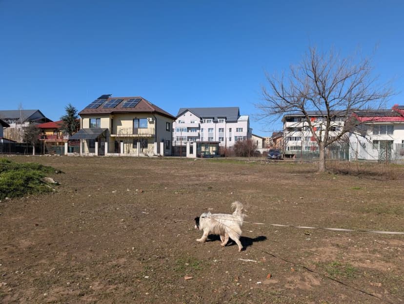 Mobility in an Uneven City: The Pull of the Centre and the Lack of Neighbourhood Life in Bucharest