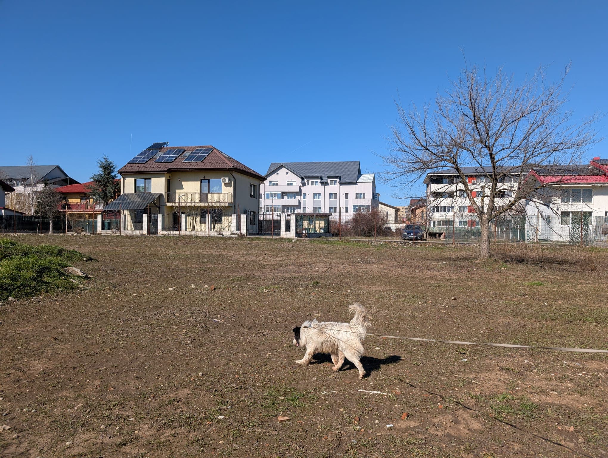 Mobility in an Uneven City: The Pull of the Centre and the Lack of Neighbourhood Life in Bucharest