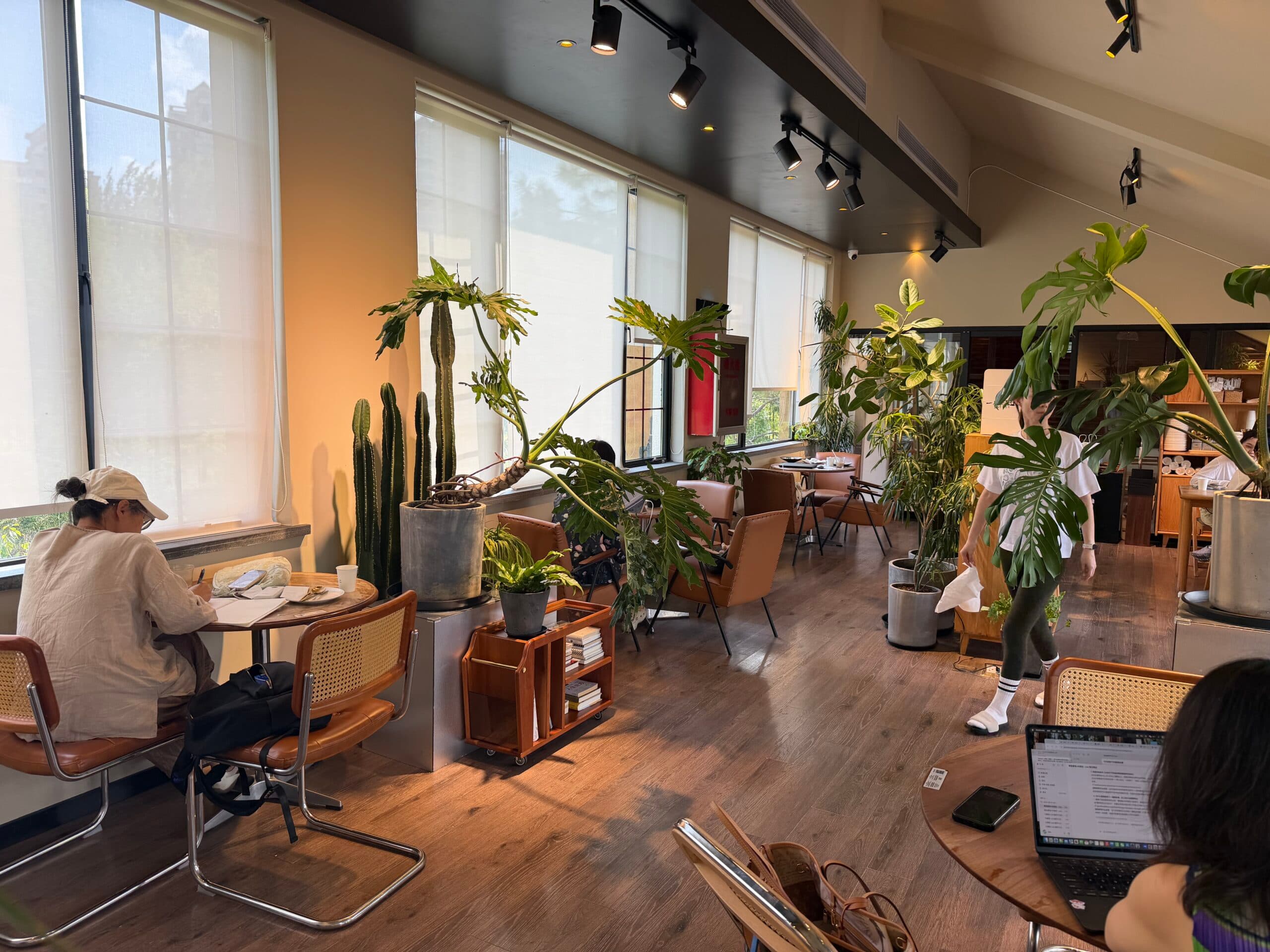 The Bittersweet Mobility of Remote Work